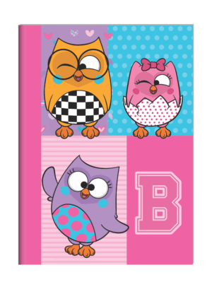 CADERNO BROCHURA ¼ BUBU E AS CORUJINHAS