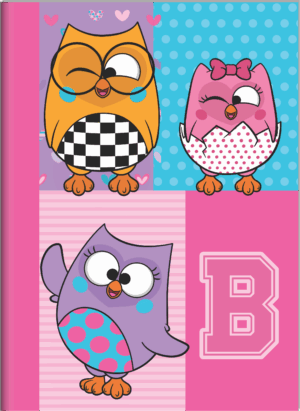 CADERNO BROCHURA ¼ BUBU E AS CORUJINHAS