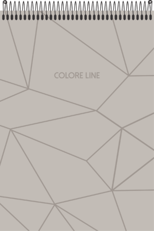 CADERNO ESPIRAL ALTO ANOTAÇÕES COLORE LINE