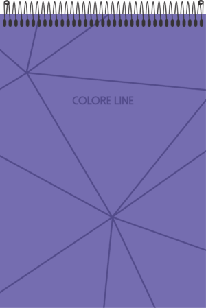 CADERNO ESPIRAL ALTO ANOTAÇÕES COLORE LINE