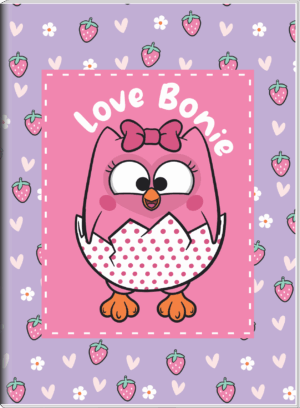 CADERNO BROCHURA 1/4 BUBU E AS CORUJINHAS