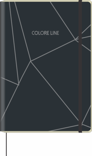 CADERNO MOL COLORE LINE