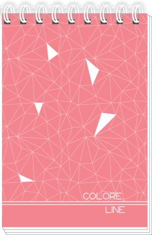 CADERNO ESPIRAL ALTO 1/8 COLORE LINE