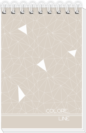 CADERNO ESPIRAL ALTO ANOTAÇÕES COLORE LINE