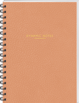 CADERNO ESPIRAL COLEGIAL DYNAMIC NOTES