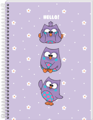 CADERNO ESPIRAL 1/4 BUBU E AS CORUJINHAS
