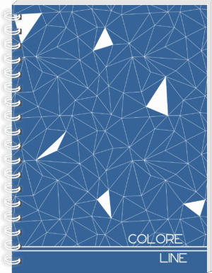 CADERNO ESPIRAL UNIVERSITÁRIO COLORE LINE