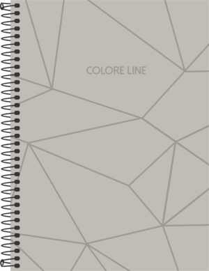 CADERNO ESPIRAL COLEGIAL COLORE LINE