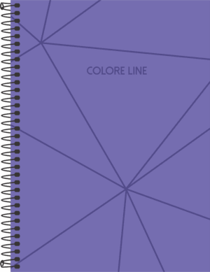 CADERNO ESPIRAL COLEGIAL COLORE LINE