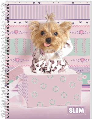 CADERNO ESPIRAL UNIVERSITÁRIO SLIM