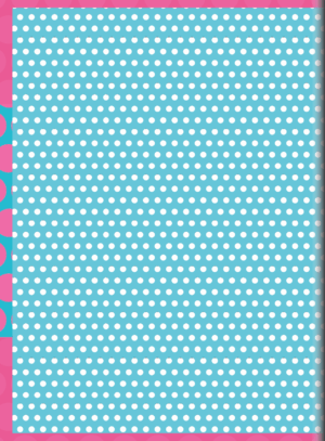 CADERNO BROCHURA UNIVERSITÁRIO BUBU E AS CORUJINHAS