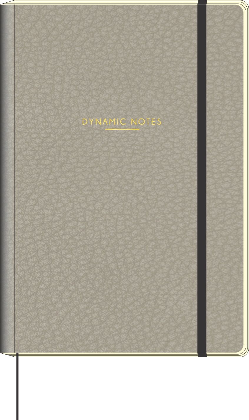 CADERNO MOL M LISO DYNAMIC NOTES