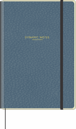 CADERNO MOL M LISO DYNAMIC NOTES