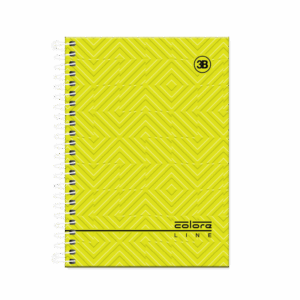 CADERNETA ESPIRAL 1/8 COLORE LINE