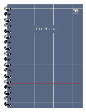 CADERNO ESPIRAL UNIVERSITÁRIO COLORE LINE